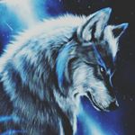 Profile Picture of daniel_sottile (@daniel4d2007) on Instagram