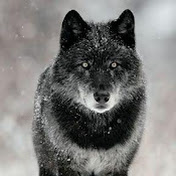 Profile Picture of Alessio Santillo (@alessiosantillo7243) on Youtube