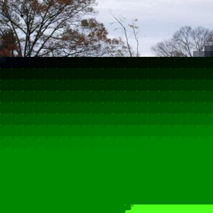 De'von Nickerson - Myspace Profile Picture of De'von Nickerson (@th3devilsgo0n) on Myspace