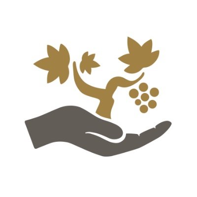 Profile Picture of Julián Palacios - Viticultura Viva (@ViticulturaViva) on Twitter