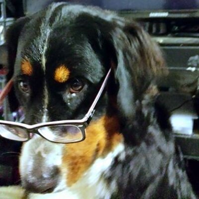 Huriaux Thomas - Twitter Profile Picture of Huriaux Thomas (@17_vento) on Twitter