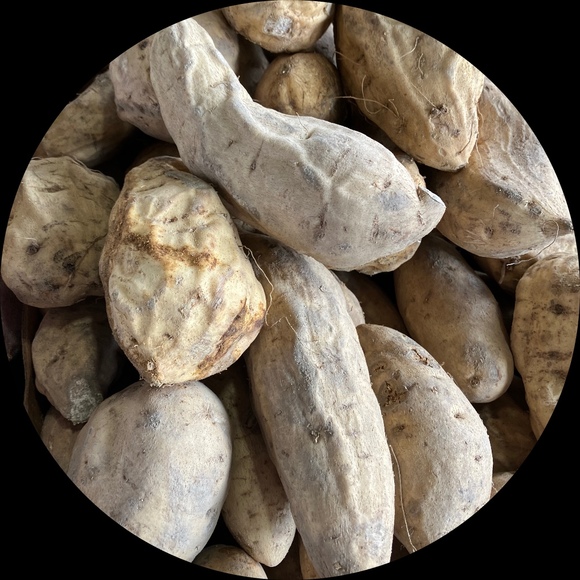 Profile Picture of Debra Freeman (@debfreemantx) on Poshmark