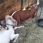 Profile Picture of Jacob Levings (@reggie641) on Instagram