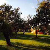 Profile Picture of VICENTE BERNAL (@vicentebernal5944) on Youtube