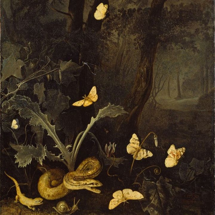 Profile Picture of alexanderrreads (@alexanderrreads) on Tiktok