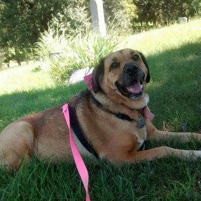 Profile Picture of Lori Stocker (@53c87ca239be473) on Twitter