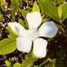 Profile Picture of Cathy Blevins (@cathy.blevins.3348) on Facebook