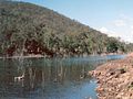 Profile Picture of Stanley River (Queensland)on Wikipedia