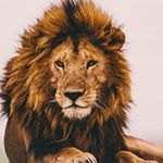 Profile Picture of Lori (@lori.myers_) on Instagram