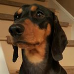 Profile Picture of Jimmy Farr (@jim_the_dim_sausage) on Instagram