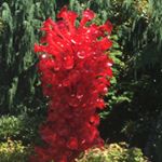 Julia earle - Instagram Profile Picture of Julia earle (@julia_22448_) on Instagram