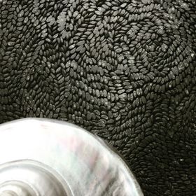 Profile Picture of Timothy Holloway (@holloway3316) on Pinterest