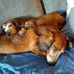 Profile Picture of Barbara Connelly (@barbara.connelly.3538) on Facebook
