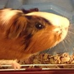 Dawson Schultz - Instagram Profile Picture of Dawson Schultz (@dawson__schultz) on Instagram