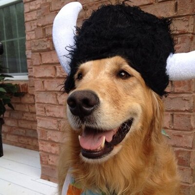 Profile Picture of Jacqueline Larson (@smilesandsmirks) on Twitter