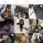 종만 + 님 + 뭐니 + JeongP5 - Instagram Profile Picture of 종만 + 님 + 뭐니 + JeongP5 (@jeongpyo_jam) on Instagram
