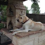 Profile Picture of Doug Orr (@rdouglasorr) on Instagram