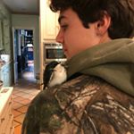 Profile Picture of Harrison Wallace (@aharrisonwallace) on Instagram