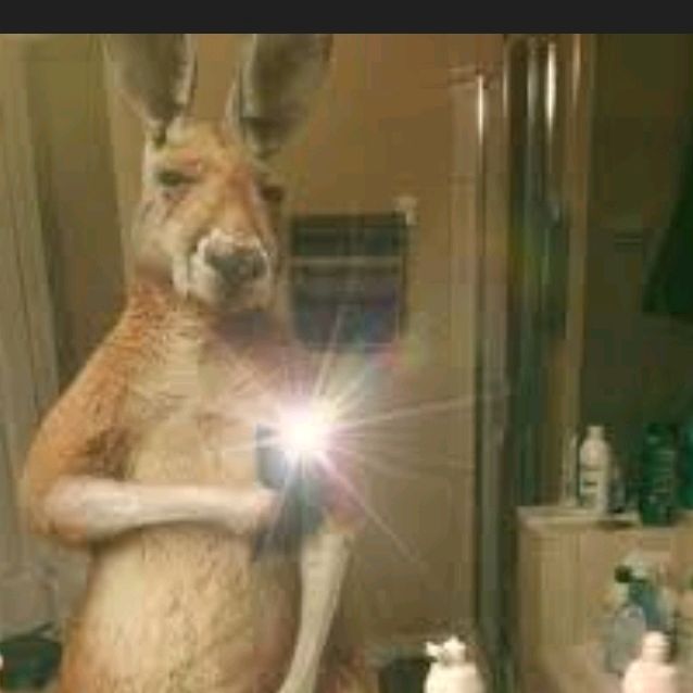 Profile Picture of chavo dt (@chavodt1) on Tiktok