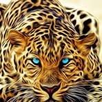 Profile Picture of Marlon Kalala Larry (@marlon.kalalalarry.9) on Facebook