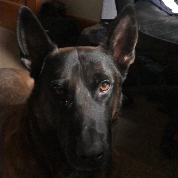 Profile Picture of Tim Hurd (@524darko) on Poshmark