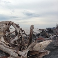 Profile Picture of Peter Redfield (@peter-redfield-1) on Quora