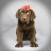 Profile Picture of Lucy Scher (@lucy.scher.73) on Facebook