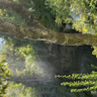 Leighton Mullerleile - Quora Profile Picture of Leighton Mullerleile (@leighton-mullerleile) on Quora