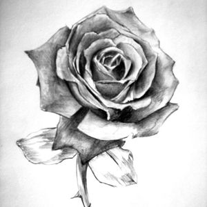 Profile Picture of Adriana T (@adriana.t) on Myspace