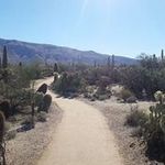 Profile Picture of Neil Swinney (@n_a_swinney) on Instagram