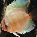 Profile Picture of Brian Lewicki (@brian.lewicki) on Instagram