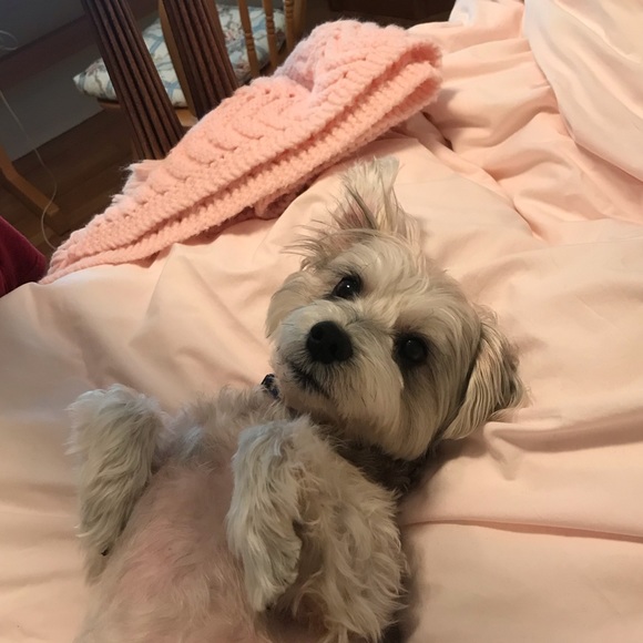 Profile Picture of Eva Borgwardt (@eborgwar) on Poshmark