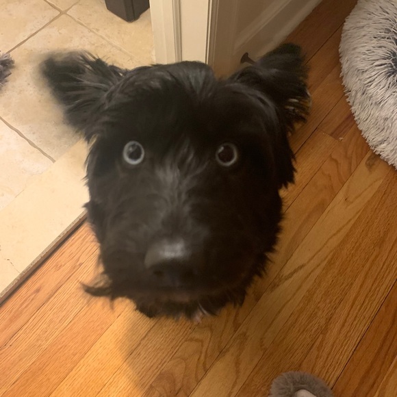 Stephanie Sabatello - Poshmark Profile Picture of Stephanie Sabatello (@ssabatello) on Poshmark