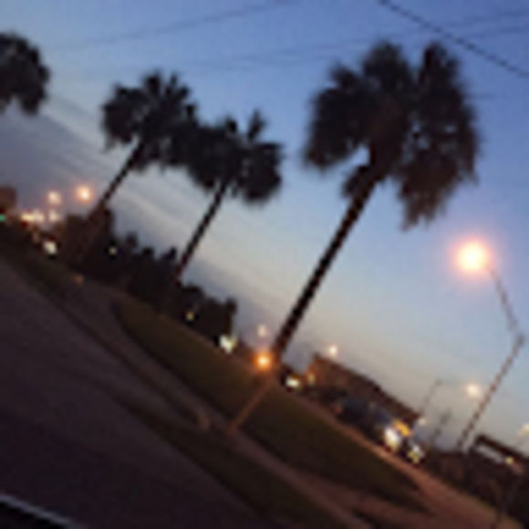 Profile Picture of Maria Martello (@coconut0194) on Poshmark