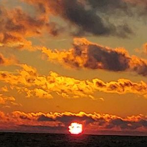 Profile Picture of Joy (@litton_joy) on Twitter