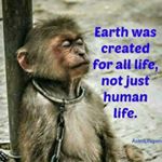 Profile Picture of Thomas Kincaid (@kincaid_thomas) on Instagram