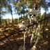Profile Picture of Brandon Benson (@brandon.benson.583) on Facebook