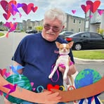 Profile Picture of Howard McNally Jr. (@Howard-McNally-Jr) on Facebook