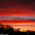 Profile Picture of Grady Mckinley (@grady.mckinley) on Flickr