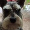 Profile Picture of Jimmy Mullins (@@jimbo._.7) on Tiktok