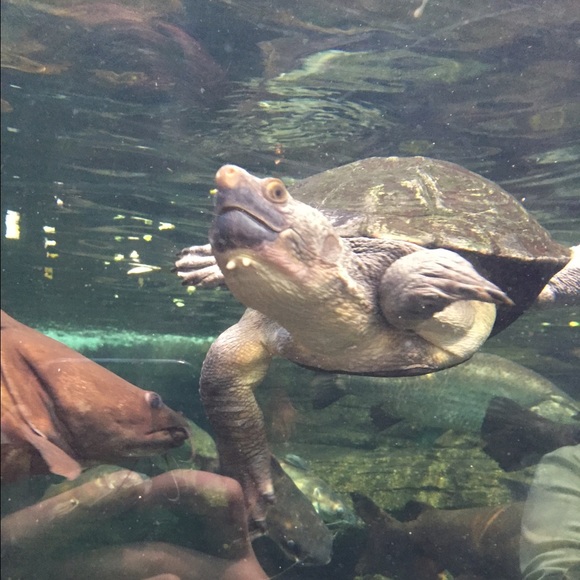 Profile Picture of Sherry Jimenez (@sherry_iero) on Poshmark