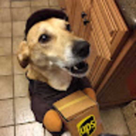 Profile Picture of Tyler Zee (@tyler_zee) on Poshmark