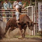Profile Picture of Jeff Klossner (@jeff_klossner) on Instagram
