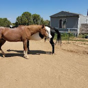 Profile Picture of Jamison Martin (@jamisonmartin) on Youtube