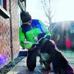 Profile Picture of John McAleavey (@johnanddukeandfamily) on Instagram