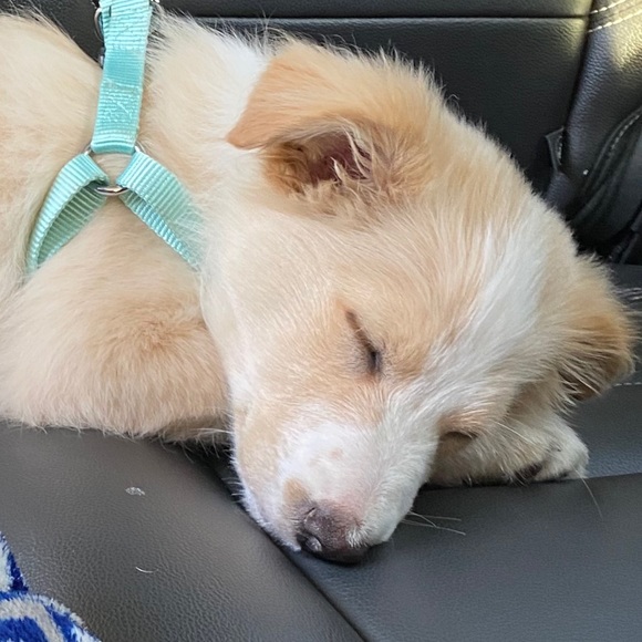 Profile Picture of Amanda Byczynski (@amandaby) on Poshmark