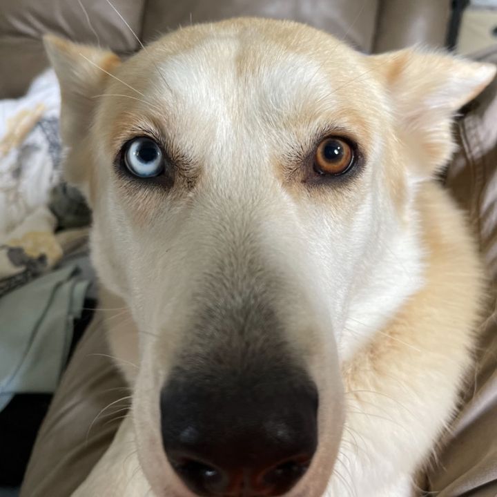 Profile Picture of Starbucks (@dustinbaugh) on Tiktok