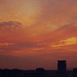 Profile Picture of Alice Wang (@alicewang871) on Flickr