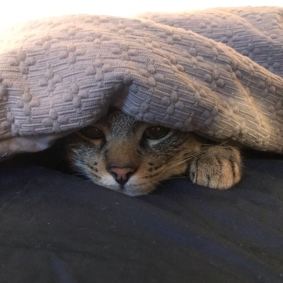 Profile Picture of Meredith Krause (@meredith_krause) on Poshmark