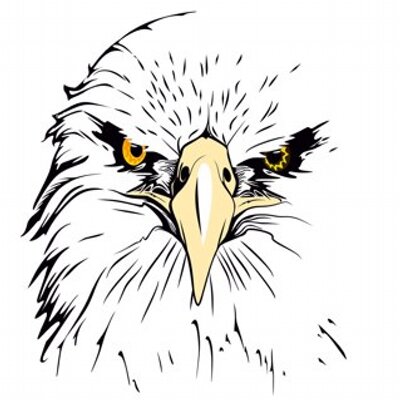 Profile Picture of Daniel^steck (@daniel_steck) on Twitter